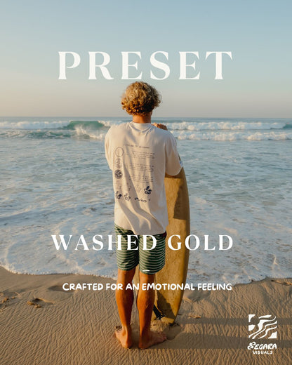 Washed Gold - Preset (20 preset + BONUS)